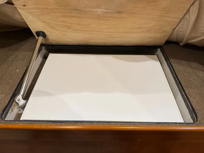 Real One Yacht Photos Pics 