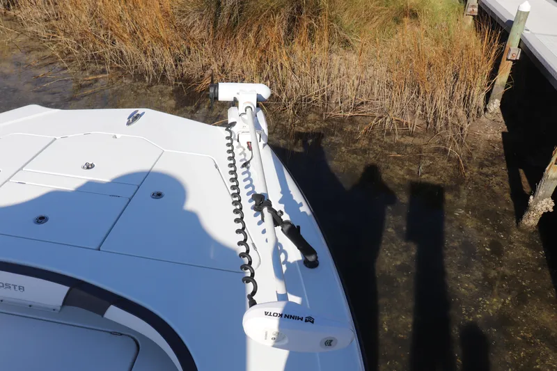  Yacht Photos Pics 2021 Costa Custom Boats 26 with Minn Kota motor near marshy shoreline.