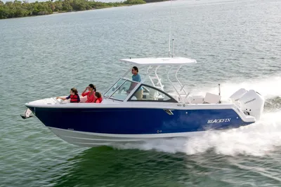 Blackfin 252 DC