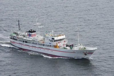 Custom Fishery Training Vessel