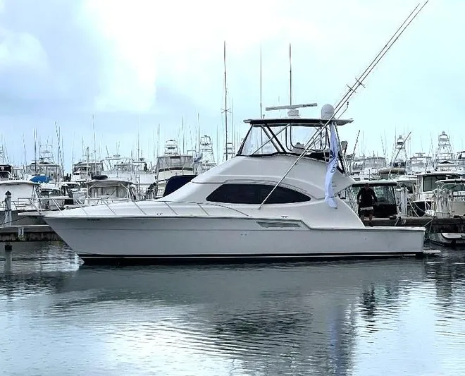 No Name Yacht Photos Pics 