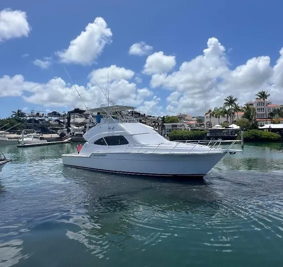 No Name Yacht Photos Pics 