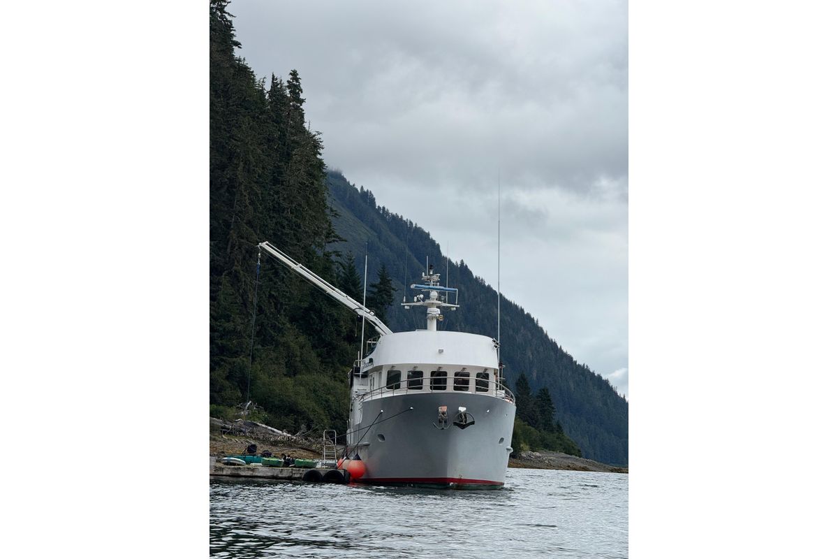 2003 Cape Horn 65 