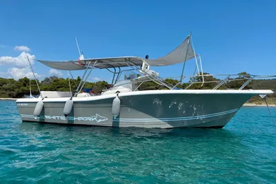 2002 White Shark 285
