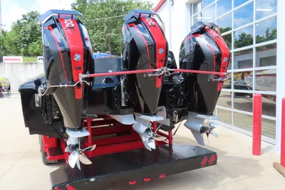 Talon 36 Cat