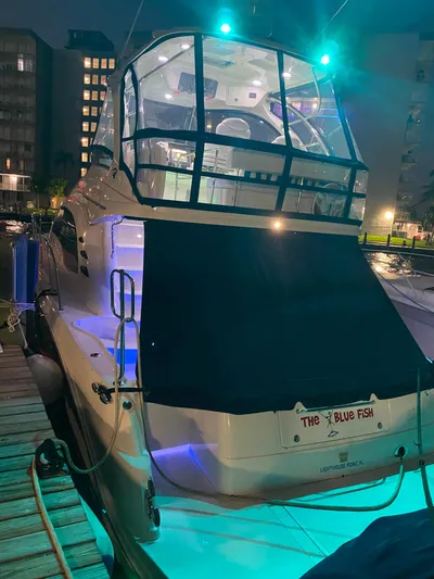 The Blue Fish Yacht Photos Pics 