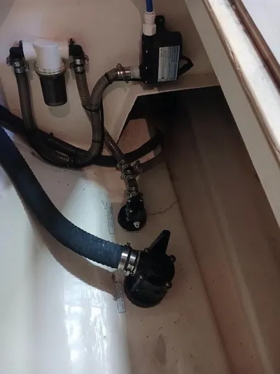 Andiamo IV Yacht Photos Pics 