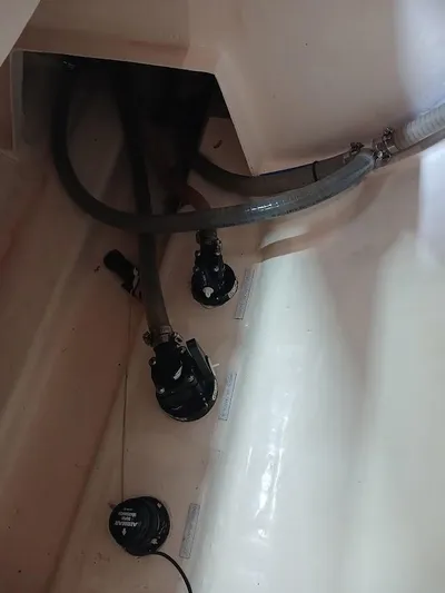 Andiamo IV Yacht Photos Pics 