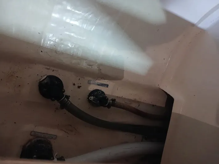 Andiamo IV Yacht Photos Pics 