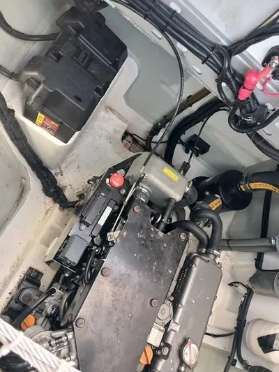 Andiamo IV Yacht Photos Pics 