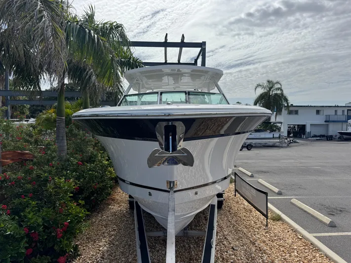  Yacht Photos Pics 2026 Blackfin 302 DC boat on display, surrounded by palm trees and a cloudy sky.