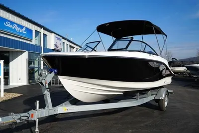 Bayliner V20