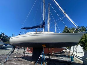 Santa Cruz 33