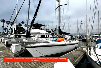 Hunter 40