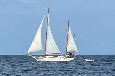 Formosa 41