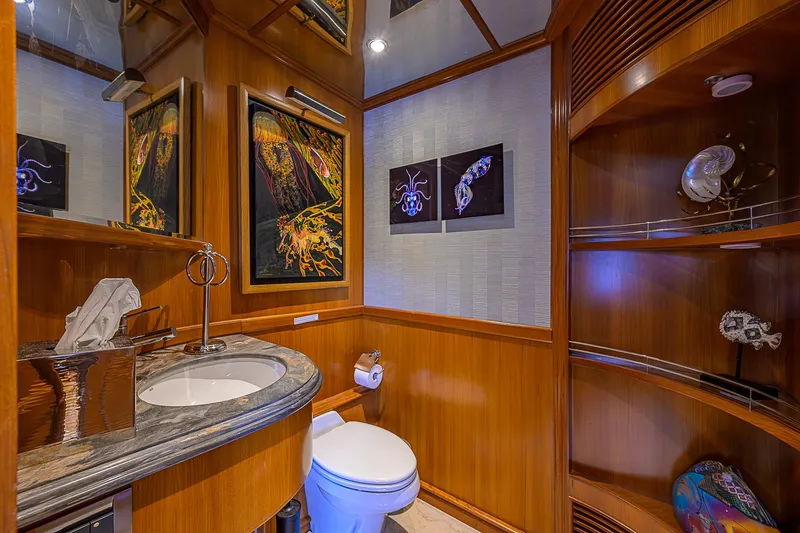 Scott Free Yacht Photos Pics Luxurious 2008 President Tri-Deck yacht bathroom with elegant wood paneling and modern art.