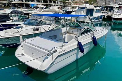 1989 Sea Ray 230