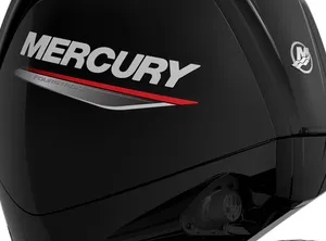 2025 Mercury 100 EFI