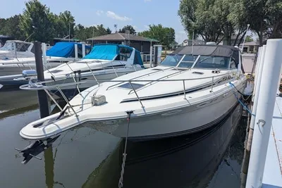 Sea Ray 350