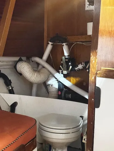 Spruce Yacht Photos Pics 