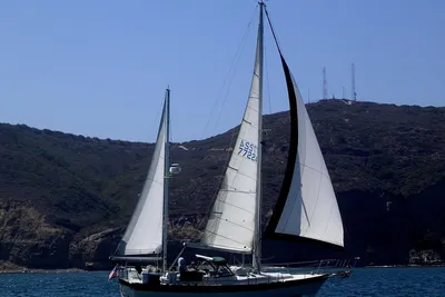 Irwin 41