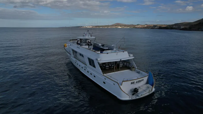 Mi Amor Yacht Photos Pics 1984 DeFever 120 yacht cruising on calm ocean waters under a partly cloudy sky.