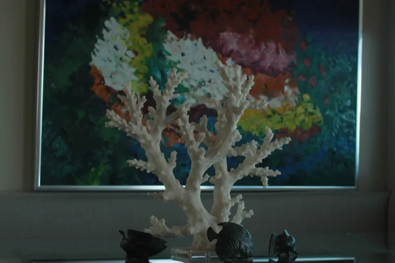 Mi Amor Yacht Photos Pics White coral sculpture with colorful abstract painting background, DeFever 120, 1984.