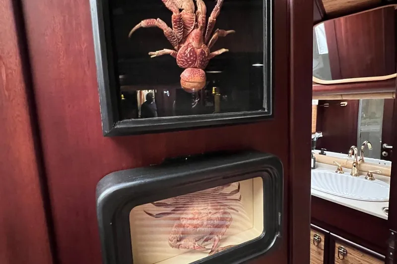  Yacht Photos Pics Luxurious yacht interior with wooden decor and unique marine-themed art display.