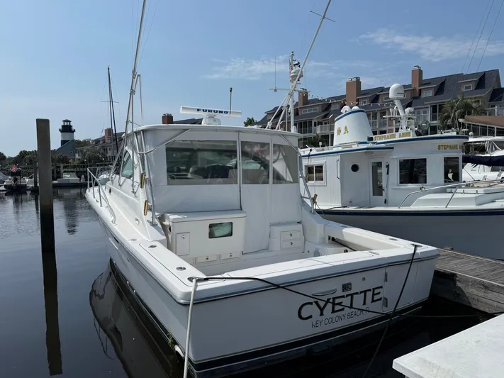 Cyette Yacht Photos Pics 2003 Pursuit 3800 Express boat docked at marina, clear sky, waterfront buildings in background.