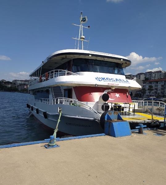 2011 Custom Dinner Cruiser
