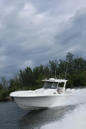  Yacht Photos Pics 2019 Edgewater 370CC boat cruising on a cloudy day near lush greenery.