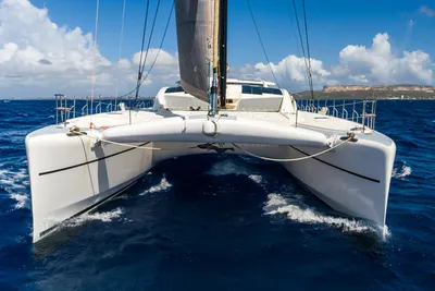 Catana catana 90
