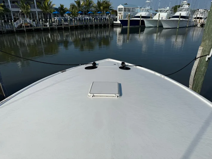 Real One Yacht Photos Pics 