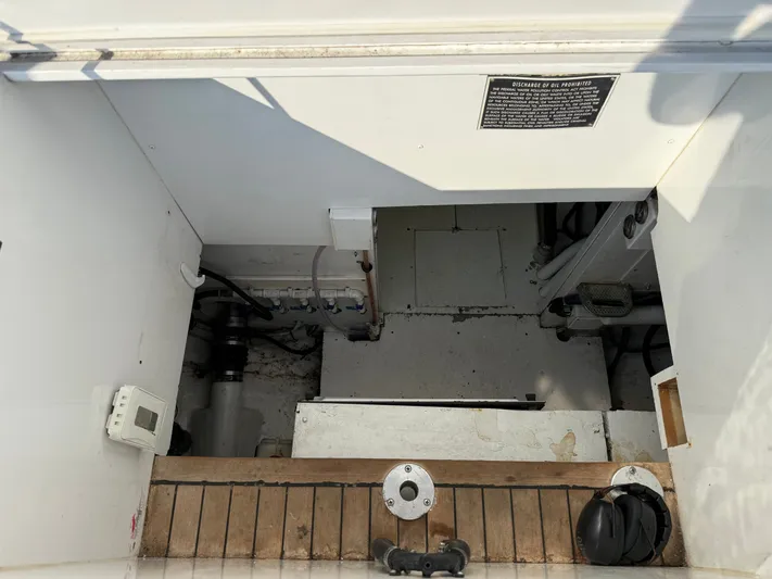 Real One Yacht Photos Pics 