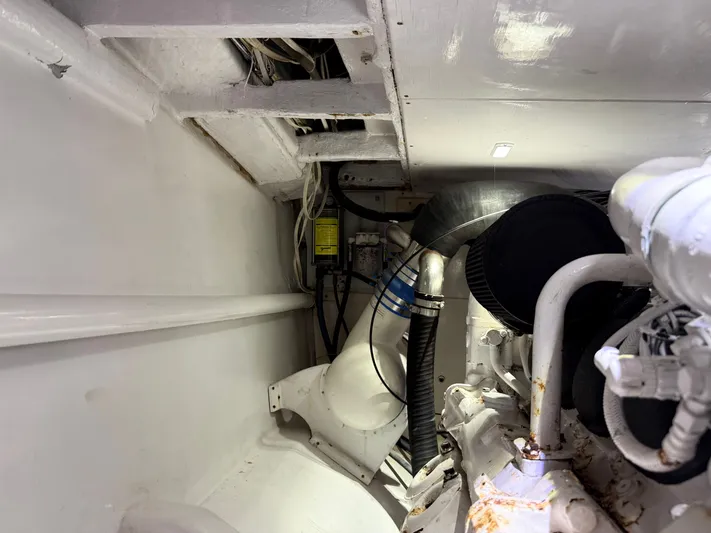 Real One Yacht Photos Pics 