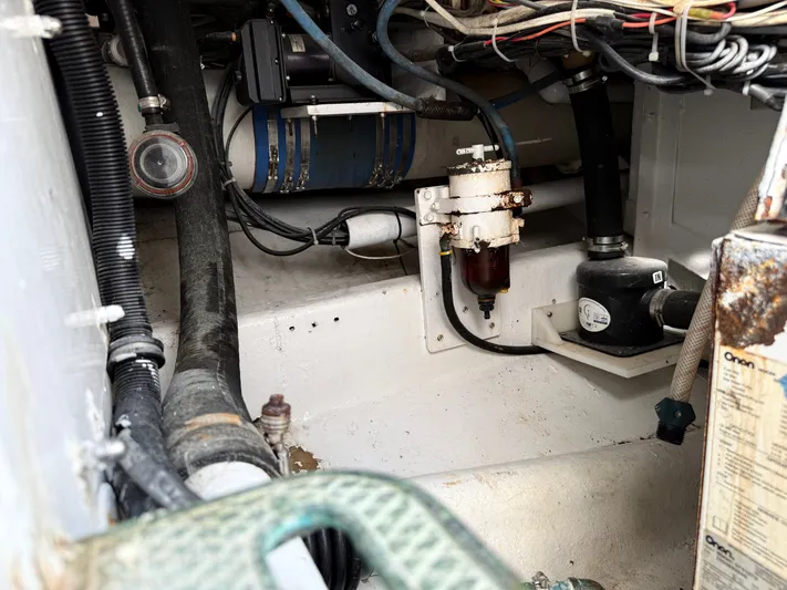 Real One Yacht Photos Pics 