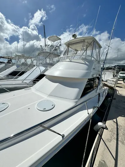  Yacht Photos Pics 2004 Riviera 37 Convertible yacht docked under a clear blue sky.