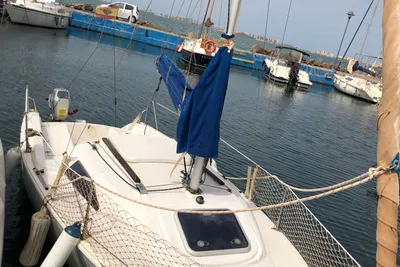 2003 Custom Araez20