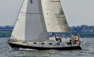 Tartan 31