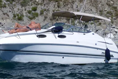 2003 Chaparral Signature 260