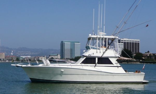 1986 Viking Convertible