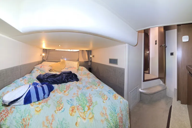 Tiger "times" 2 Yacht Photos Pics 2017 Sea Ray Sundancer 400 cabin interior with cozy bed and nautical decor.