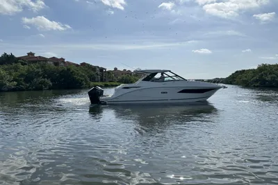 Sea Ray Sundancer 320 Outboard