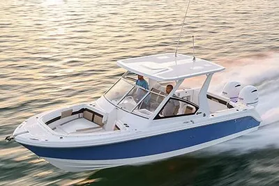 Edgewater 262 CX