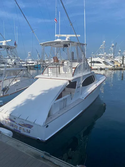 Tigerfly Yacht Photos Pics 