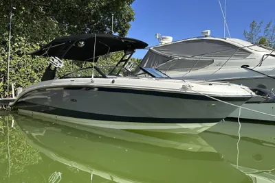 Sea Ray SDX 290