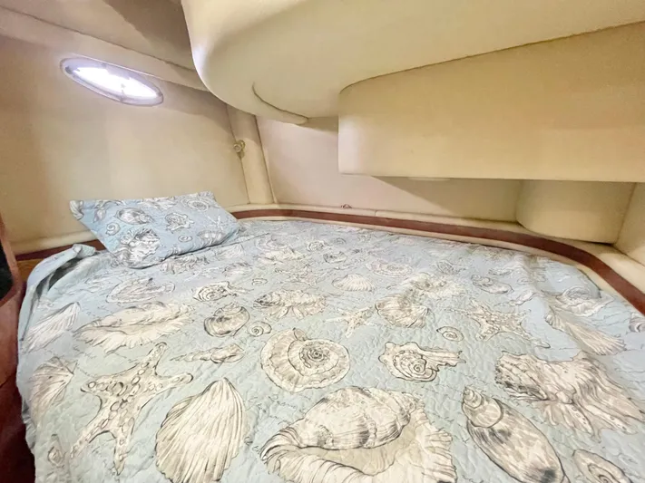  Yacht Photos Pics Cozy cabin interior of 2000 Sea Ray 450 Express Bridge with seashell-themed bedding.