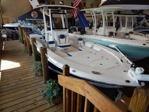 2023 Robalo 246 Cayman