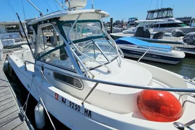 Aquasport 250 Explorer