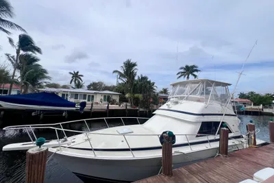 Bertram 43 Convertible